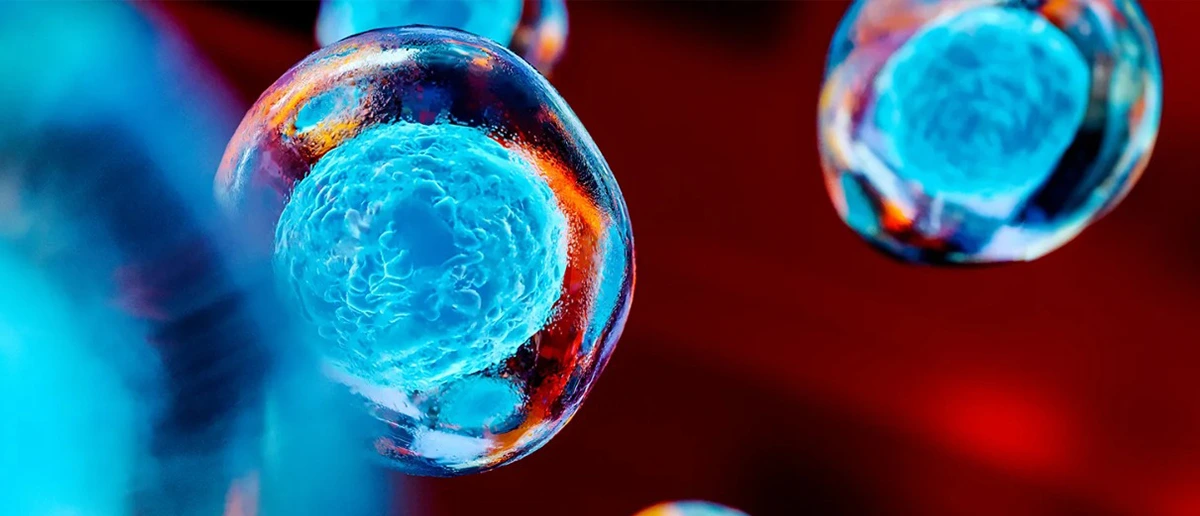 EmbryoGlue